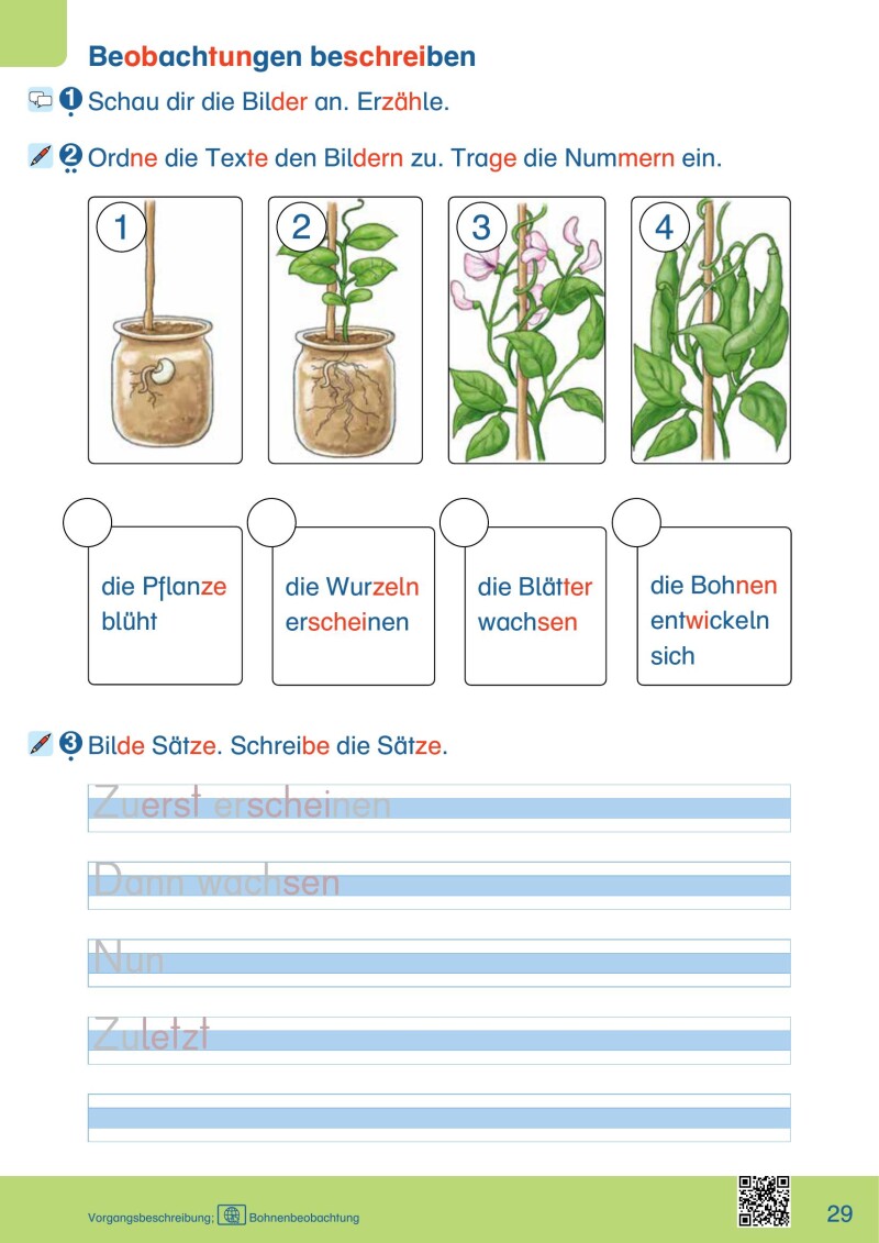ABC der Tiere 2 – Schulbuch: Spracharbeitsheft A – KOMPAKT (1. Semester) / Originalausgabe Mildenberger
