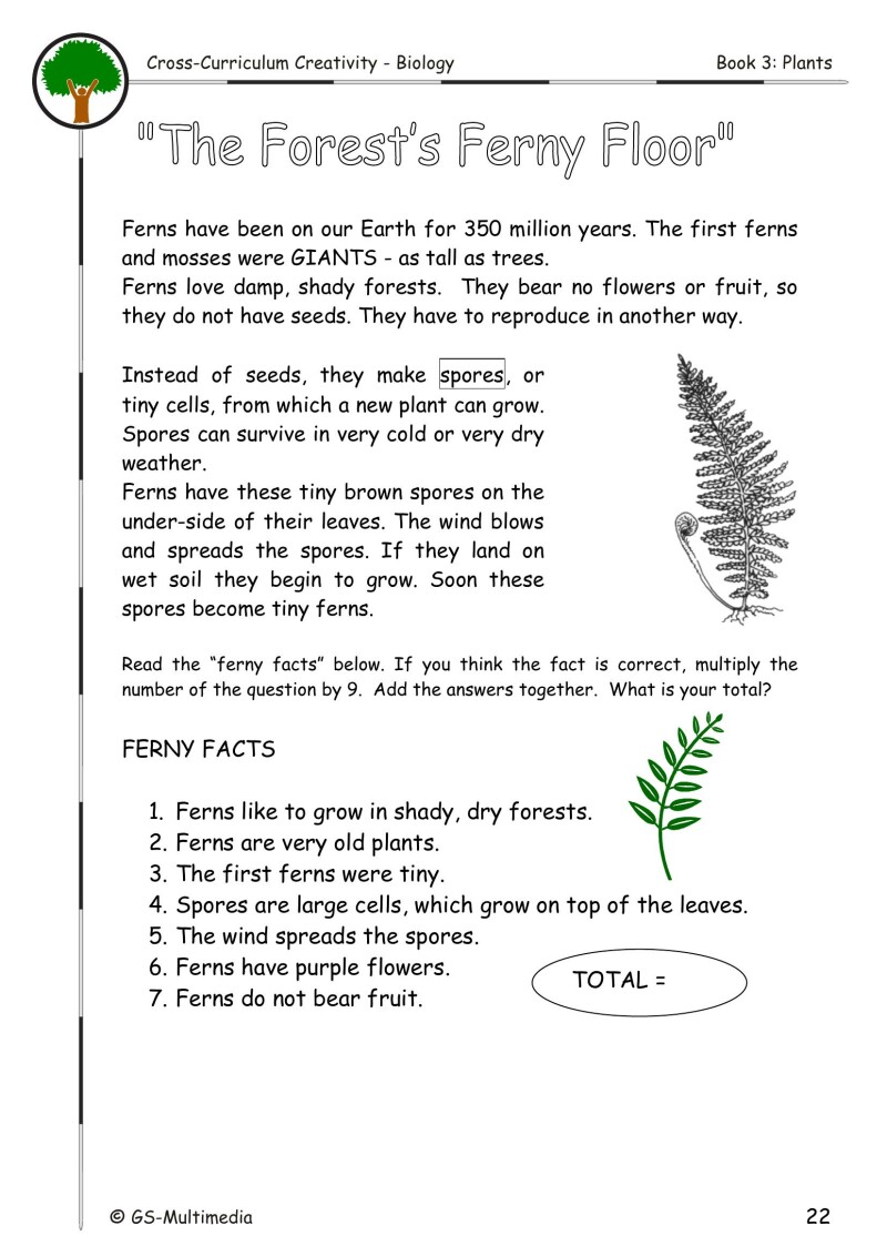 Cross Curriculum Creativity – Biology – Book 3: Plants