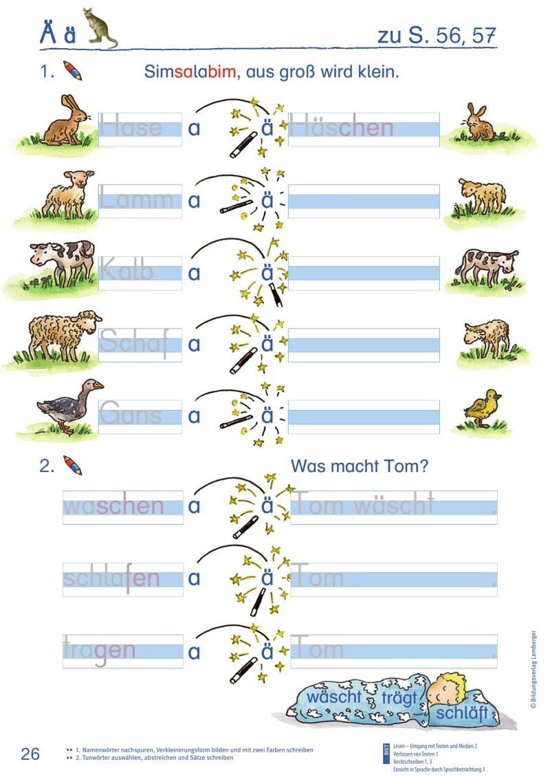 ABC der Tiere 1 - Schulbuch Kompaktausgabe: Schreiblehrgang - Teil B