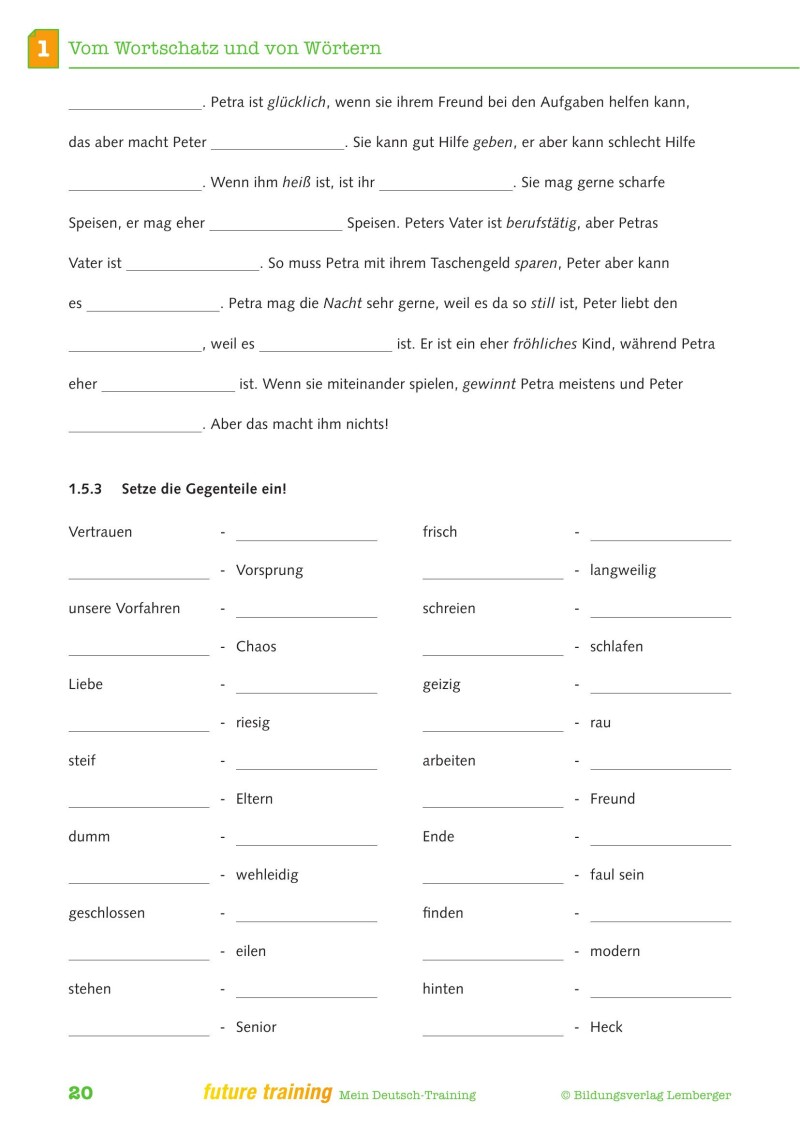 Kompetenz Lernen® - future training - Mein Deutsch-Training (mit Lösungen)