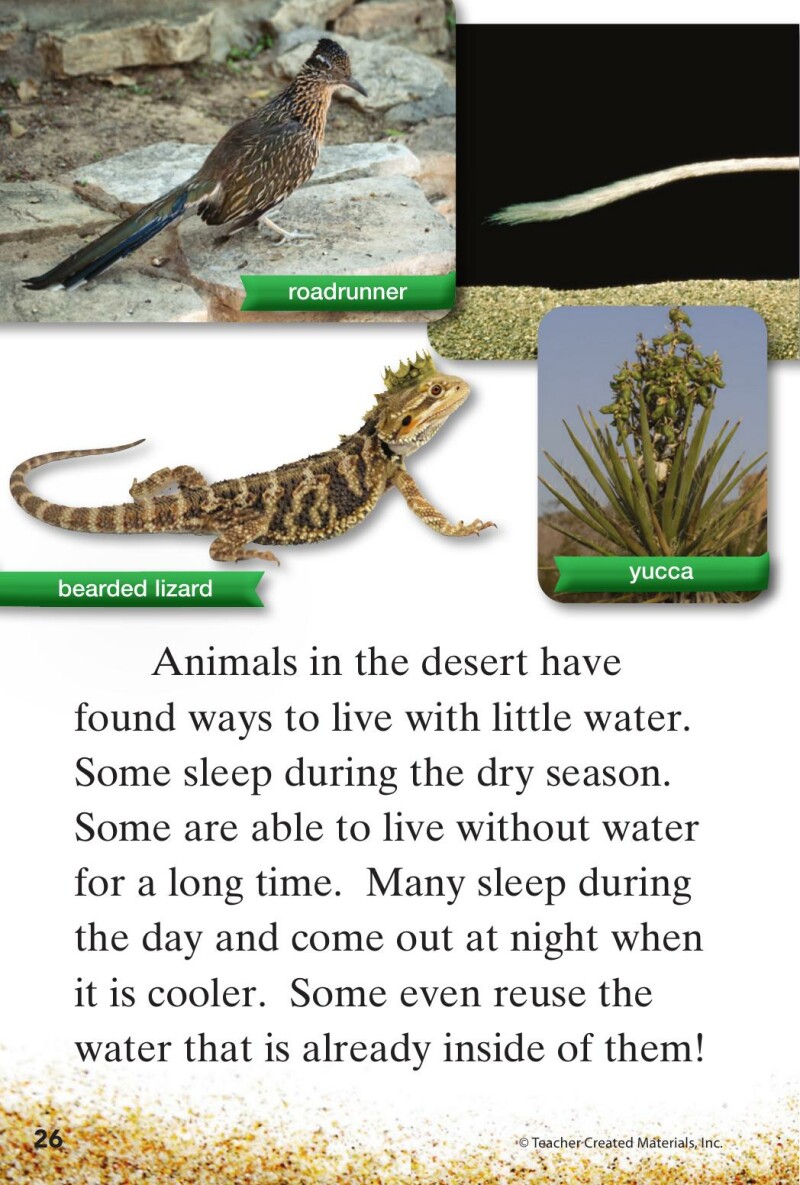 A1 – Step into the Desert