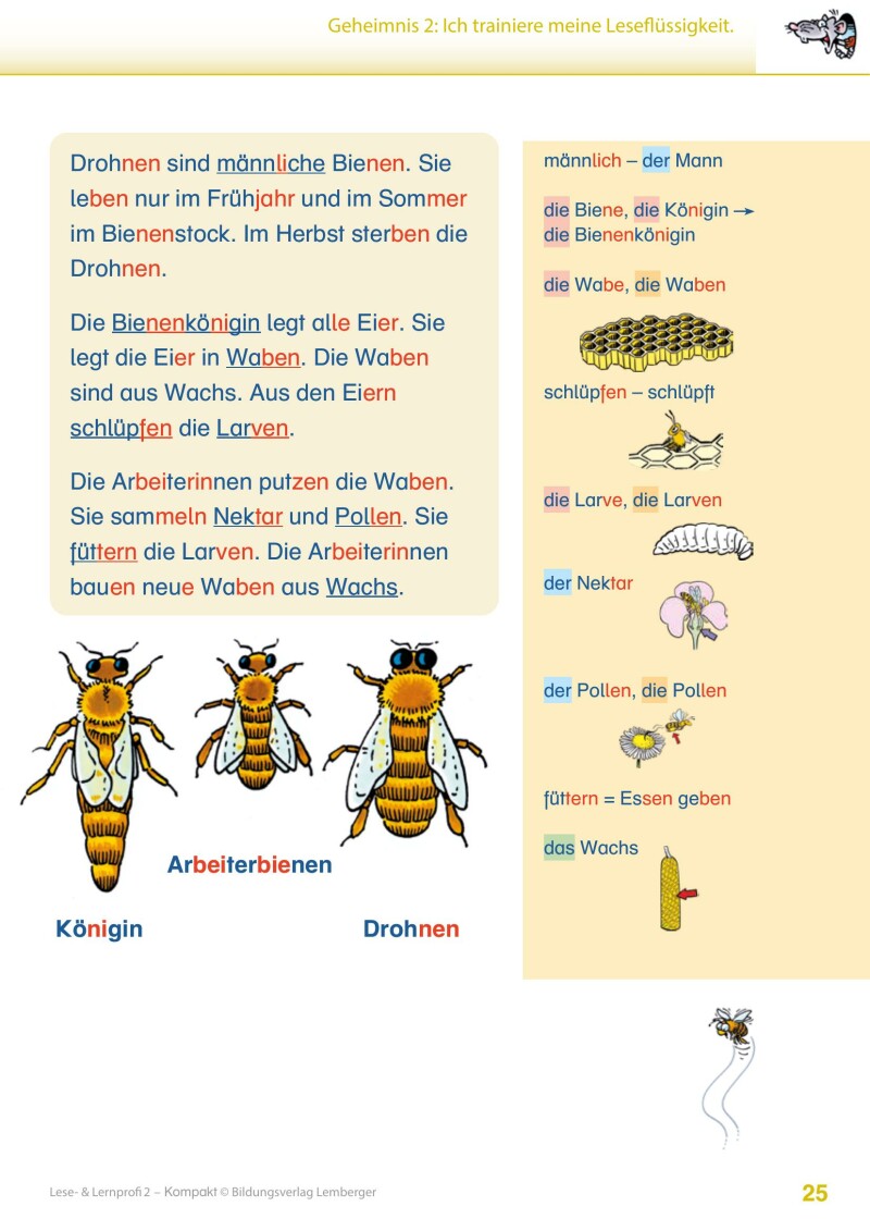 Lese- und Lernprofi 2 KOMPAKT LP’23 v1.1 / Schulbuch – silbierte Ausgabe