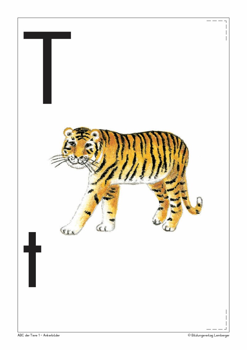 ABC der Tiere 1 - Schulbuch: Ankerbilder der Buchstaben