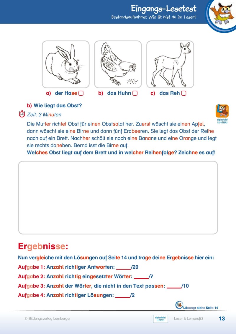 Lese- und Lernprofi 3 - Schulbuch NEU: Silbierte Ausgabe