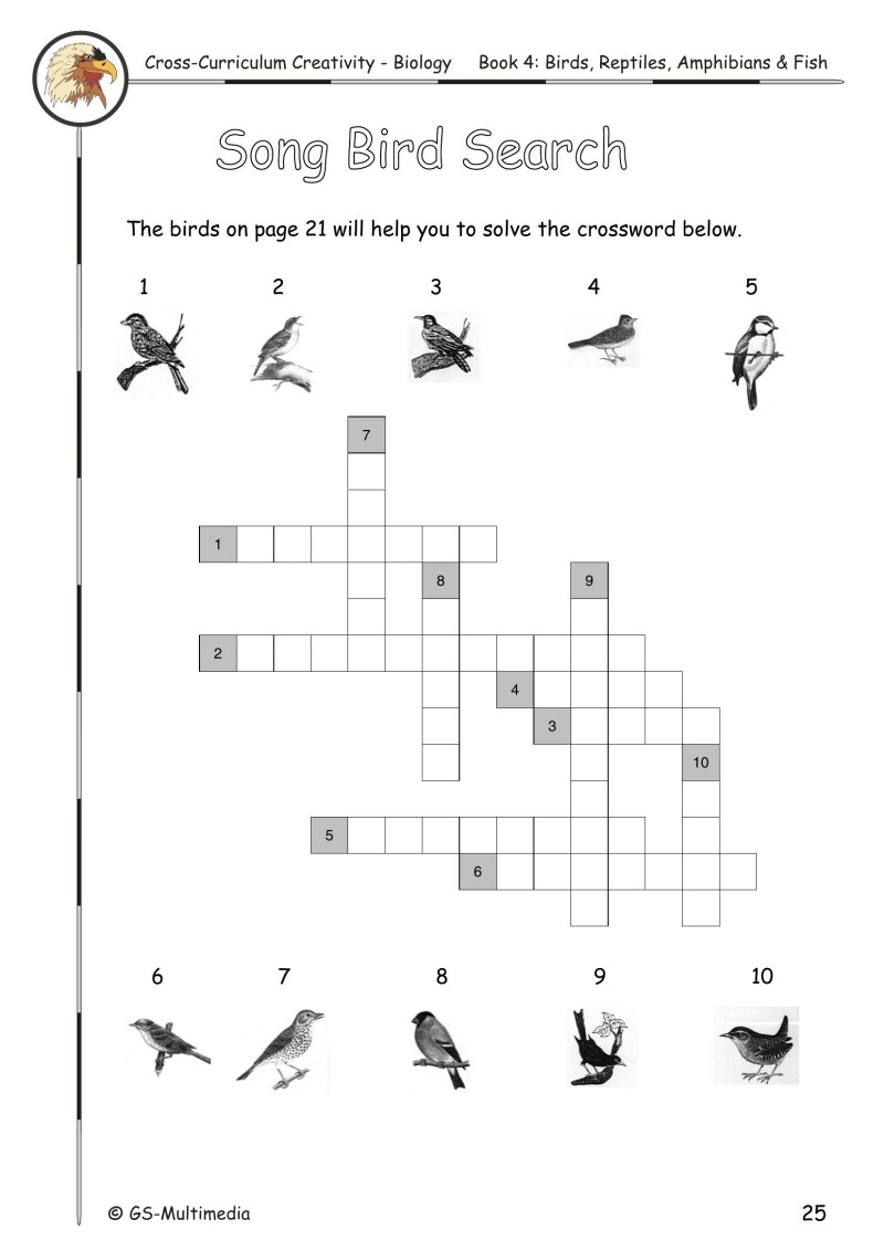 Cross Curriculum Creativity – Biology – Book 4: Birds, Reptiles, Amphibians and Fish