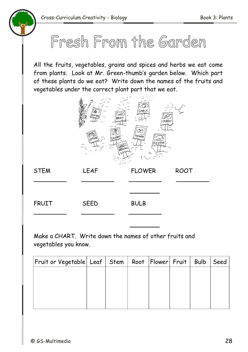 Cross Curriculum Creativity – Biology – Book 3: Plants