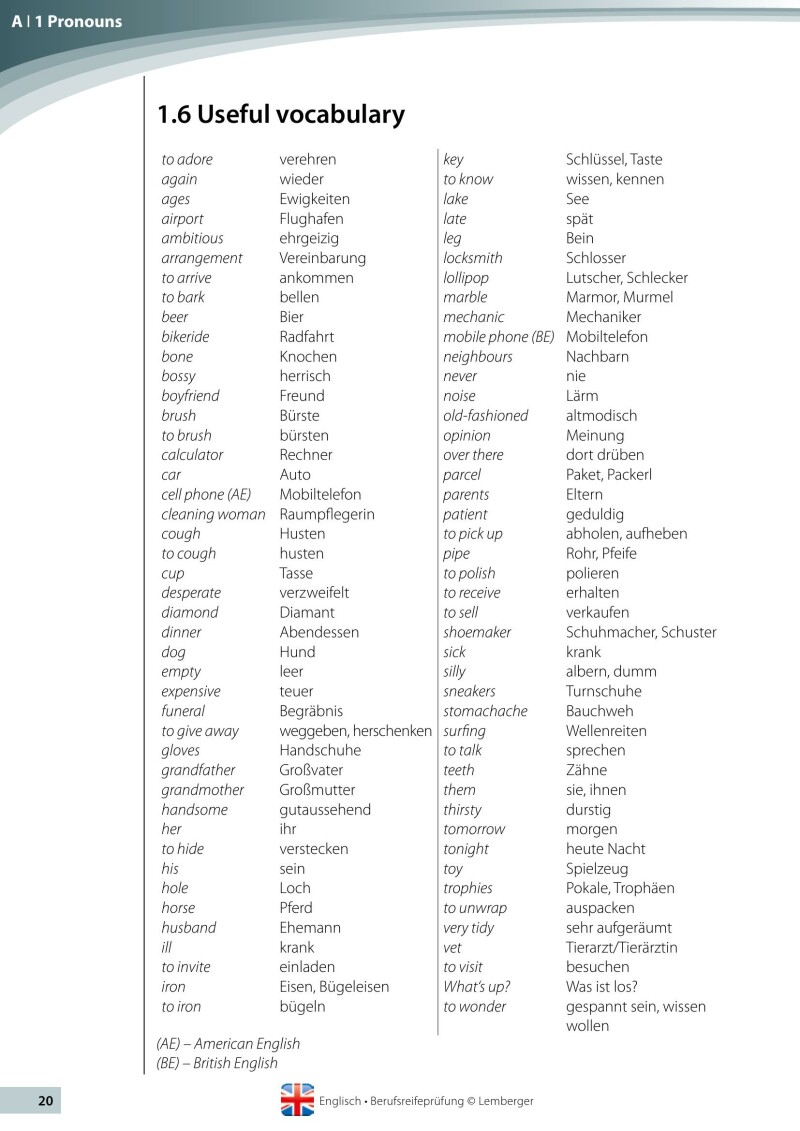 Berufsreifeprüfung Englisch - Erarbeitungsteil