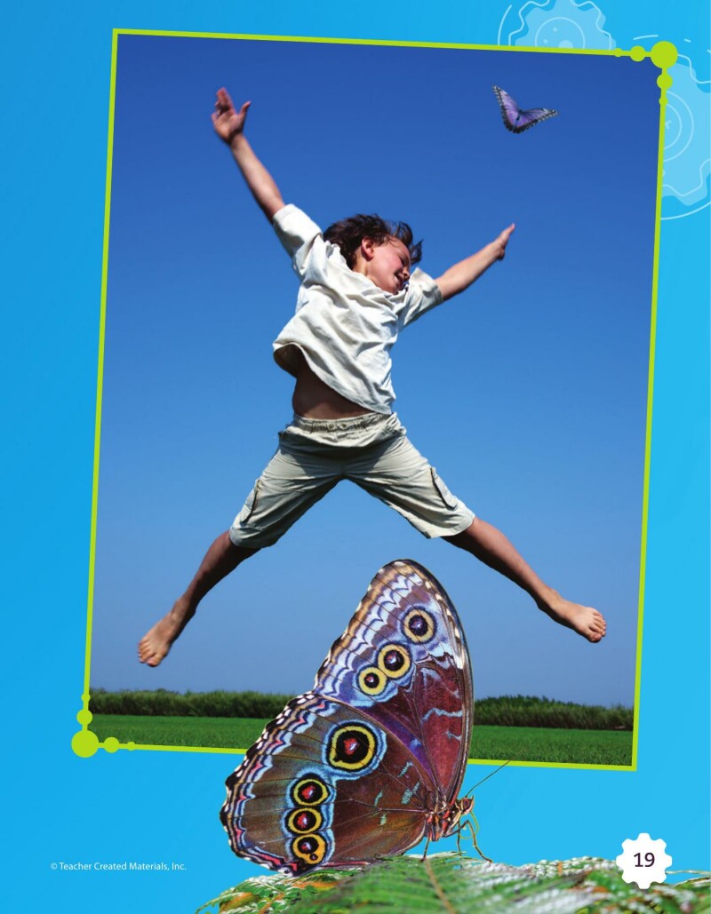 A1 – Being Like Butterflies