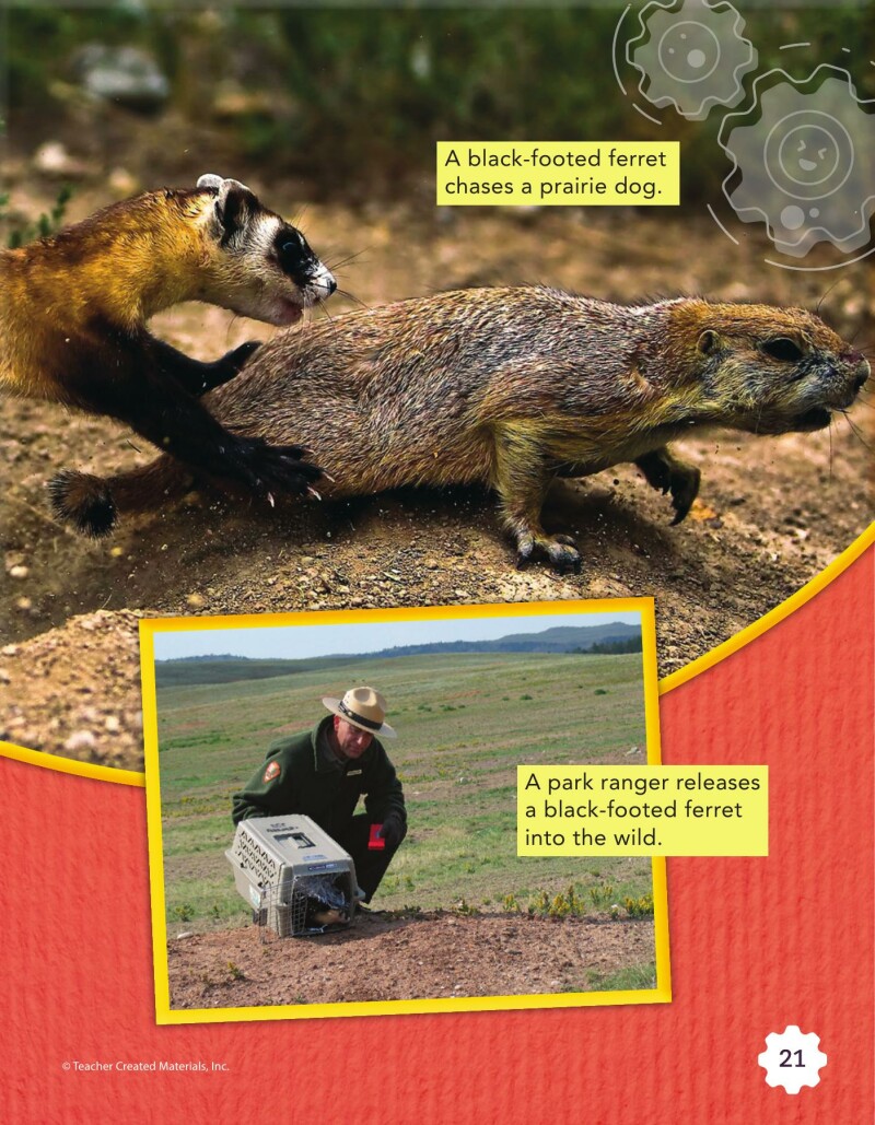 A2 – Creating a Habitat