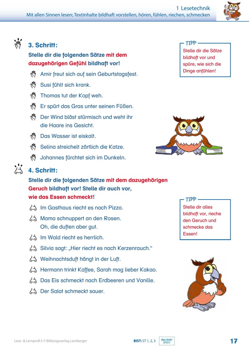 Lese- und Lernprofi 3 - Schulbuch_Version 3.1
