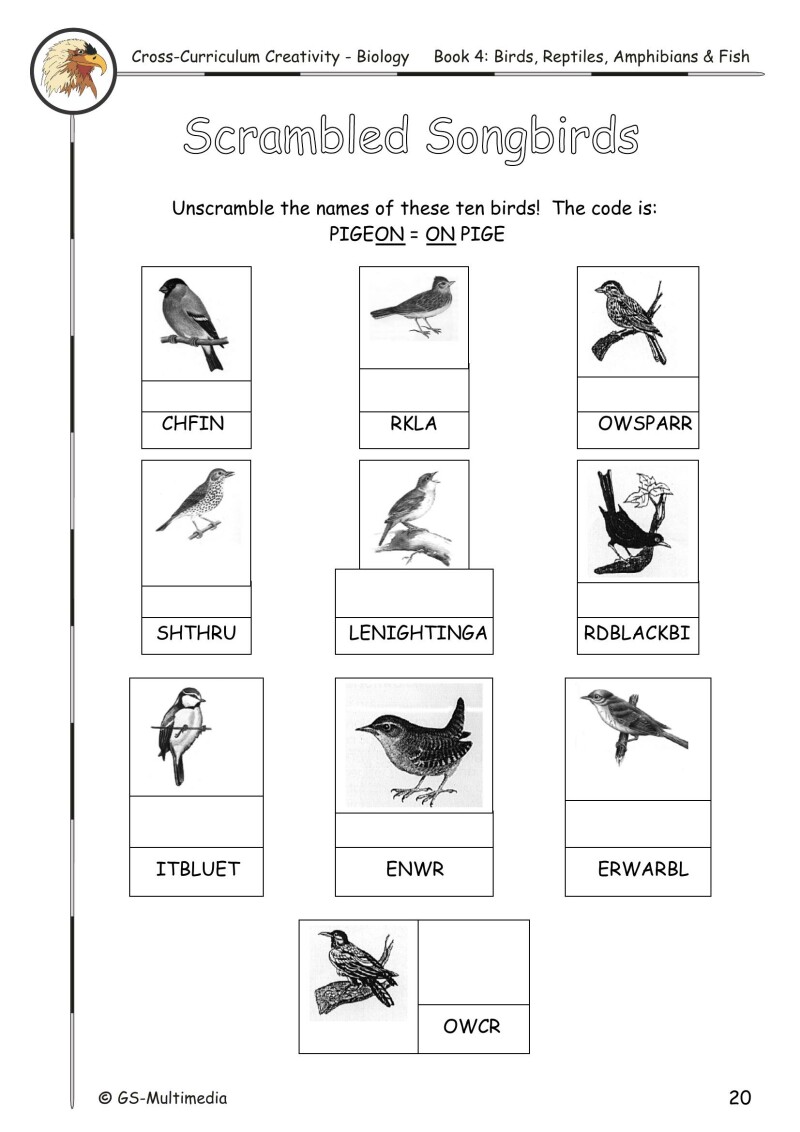 Cross Curriculum Creativity – Biology – Book 4: Birds, Reptiles, Amphibians and Fish