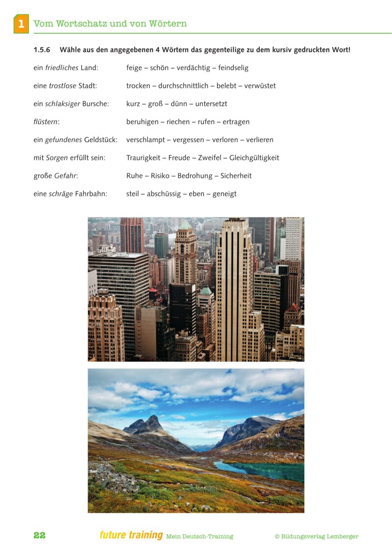 Kompetenz Lernen® - future training - Mein Deutsch-Training (mit Lösungen)