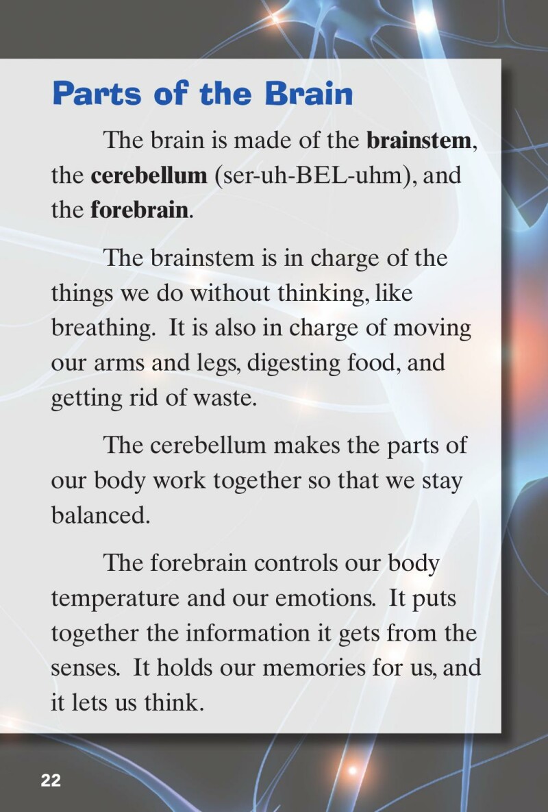 A1 – Look Inside: Your Brain