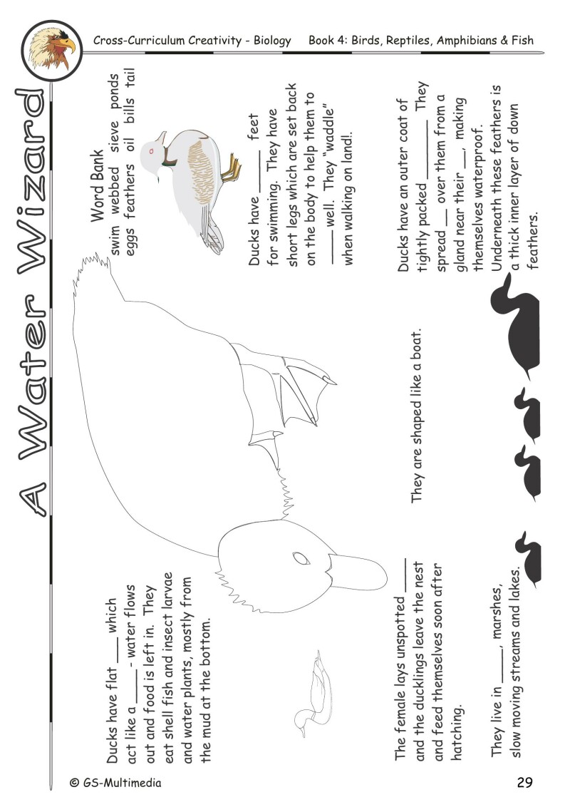 Cross Curriculum Creativity – Biology – Book 4: Birds, Reptiles, Amphibians and Fish