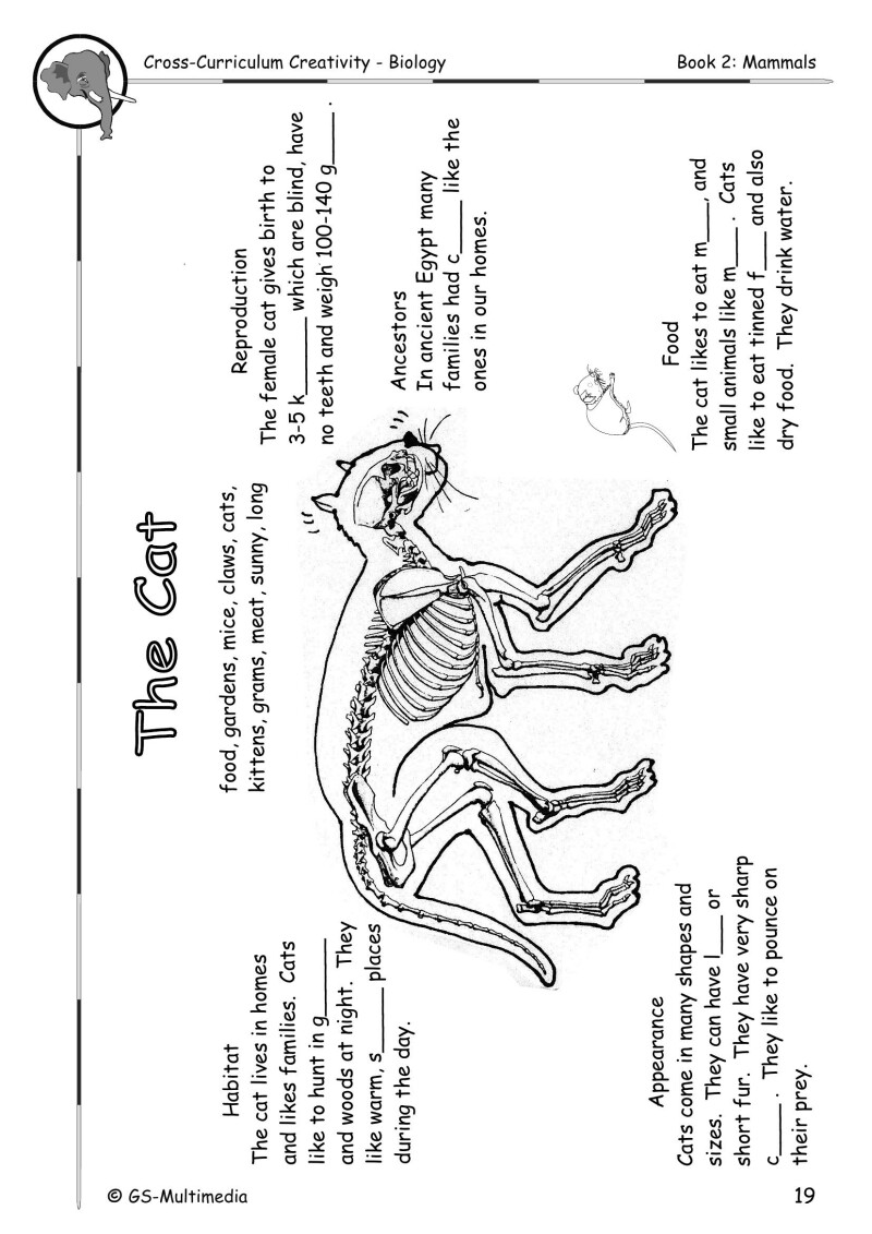 Cross Curriculum Creativity – Biology – Book 2: Mammals