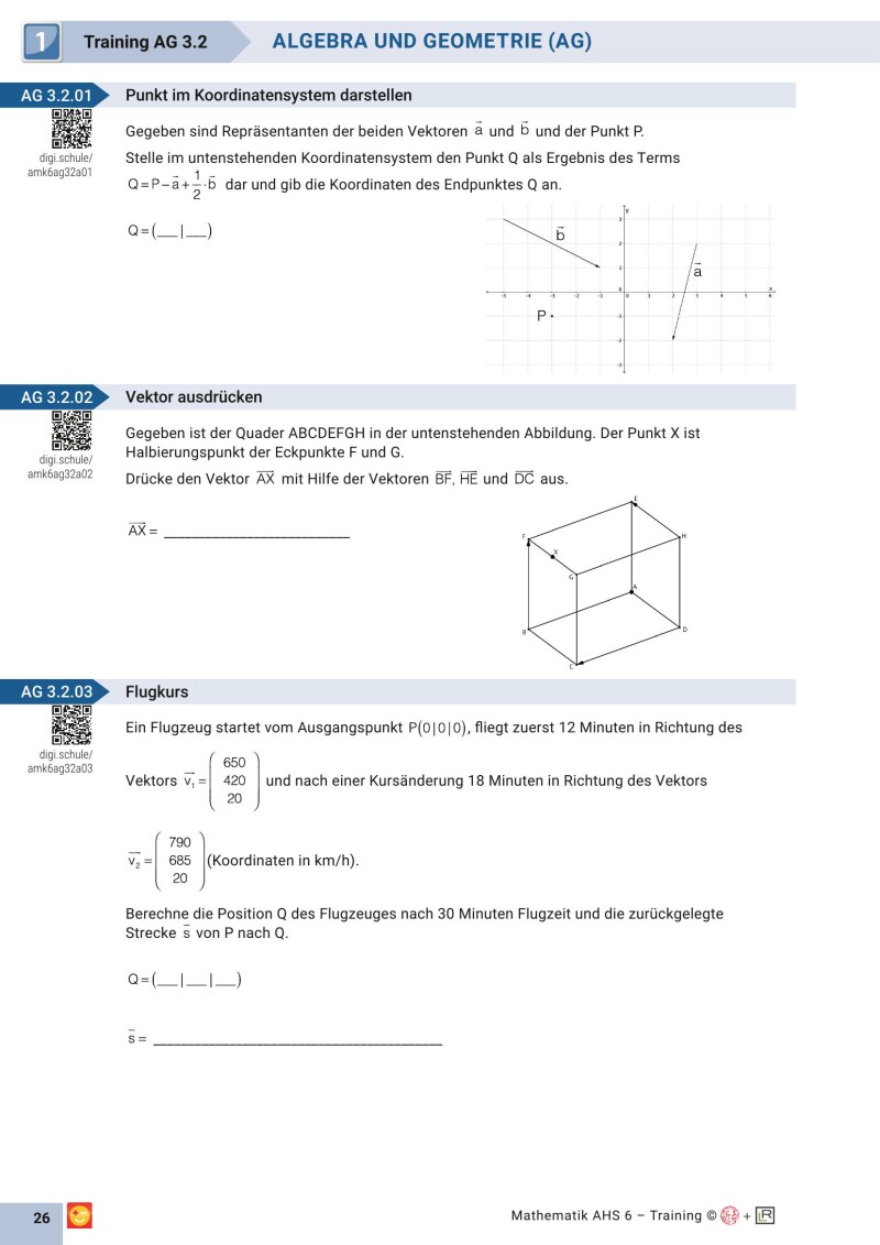 Grundkompetenzen Training Mathematik 10. Schulstufe mit Lösungsteil