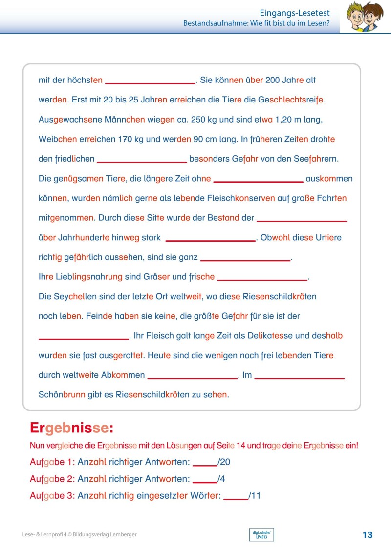 Lese- und Lernprofi 4 v3.1 / Schulbuch – silbierte Ausgabe