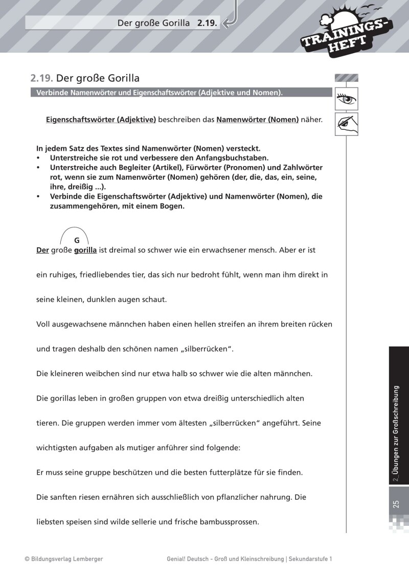 Genial! Deutsch – Trainingsheft Groß- und Kleinschreibung – Sek 1