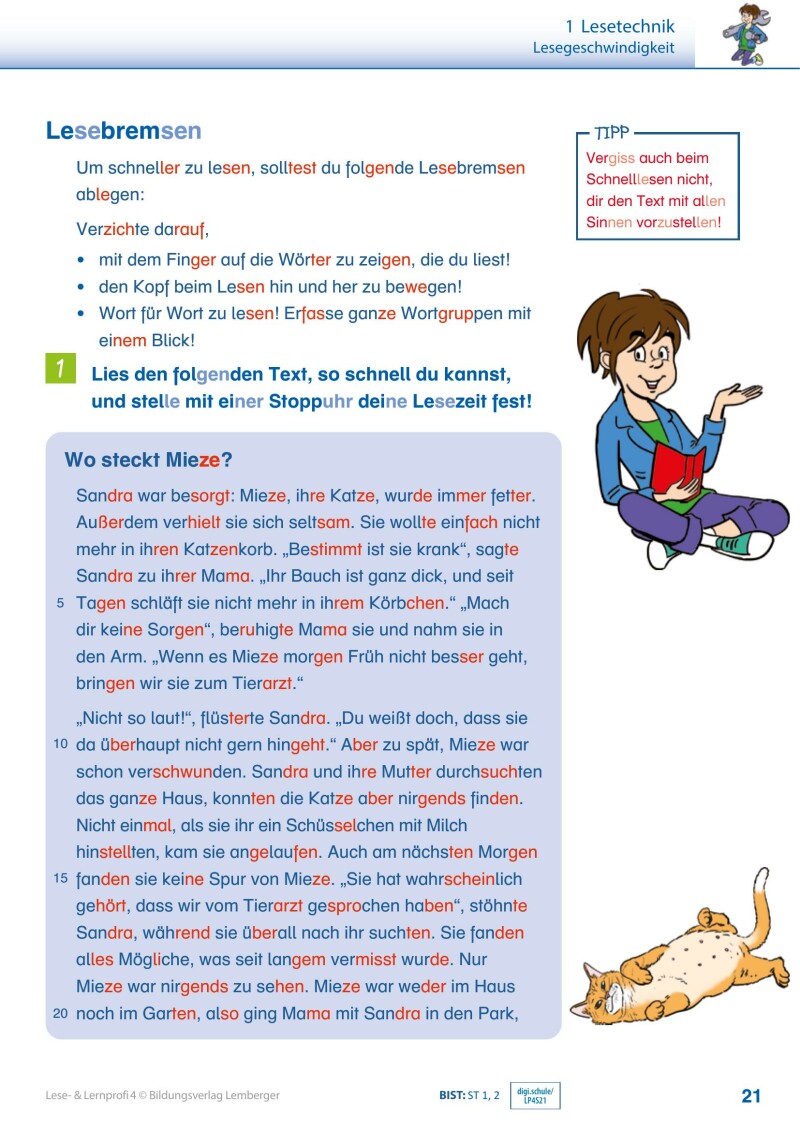 Lese- und Lernprofi 4 v3.1 / Schulbuch – silbierte Ausgabe