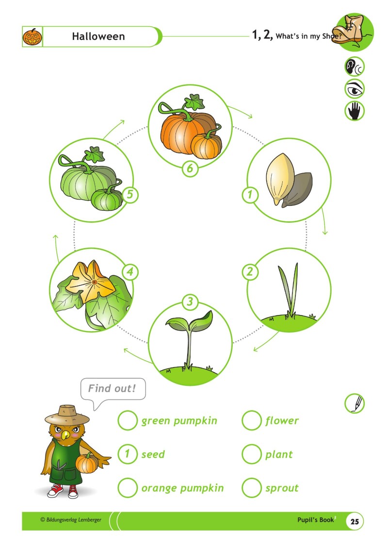 1,2, What's in my Shoe? - Pupil's Book 3