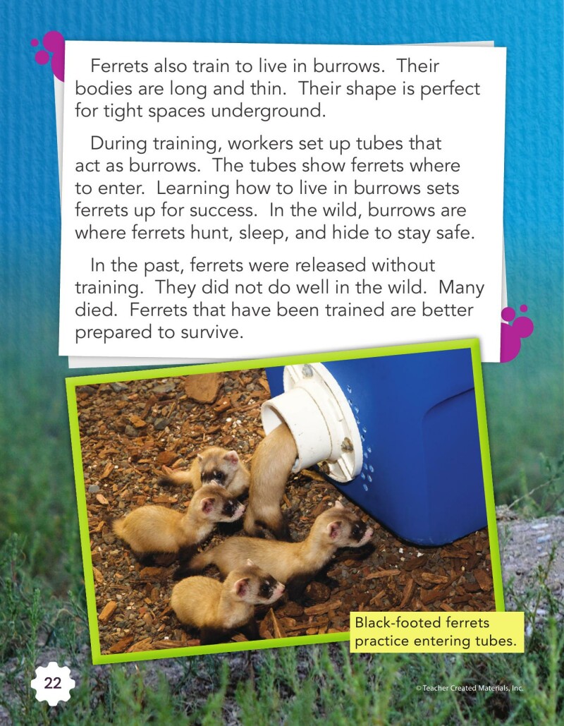 A2 – Creating a Habitat