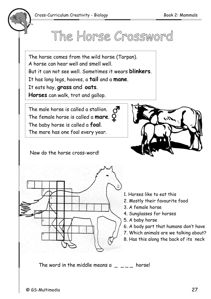 Cross Curriculum Creativity – Biology – Book 2: Mammals