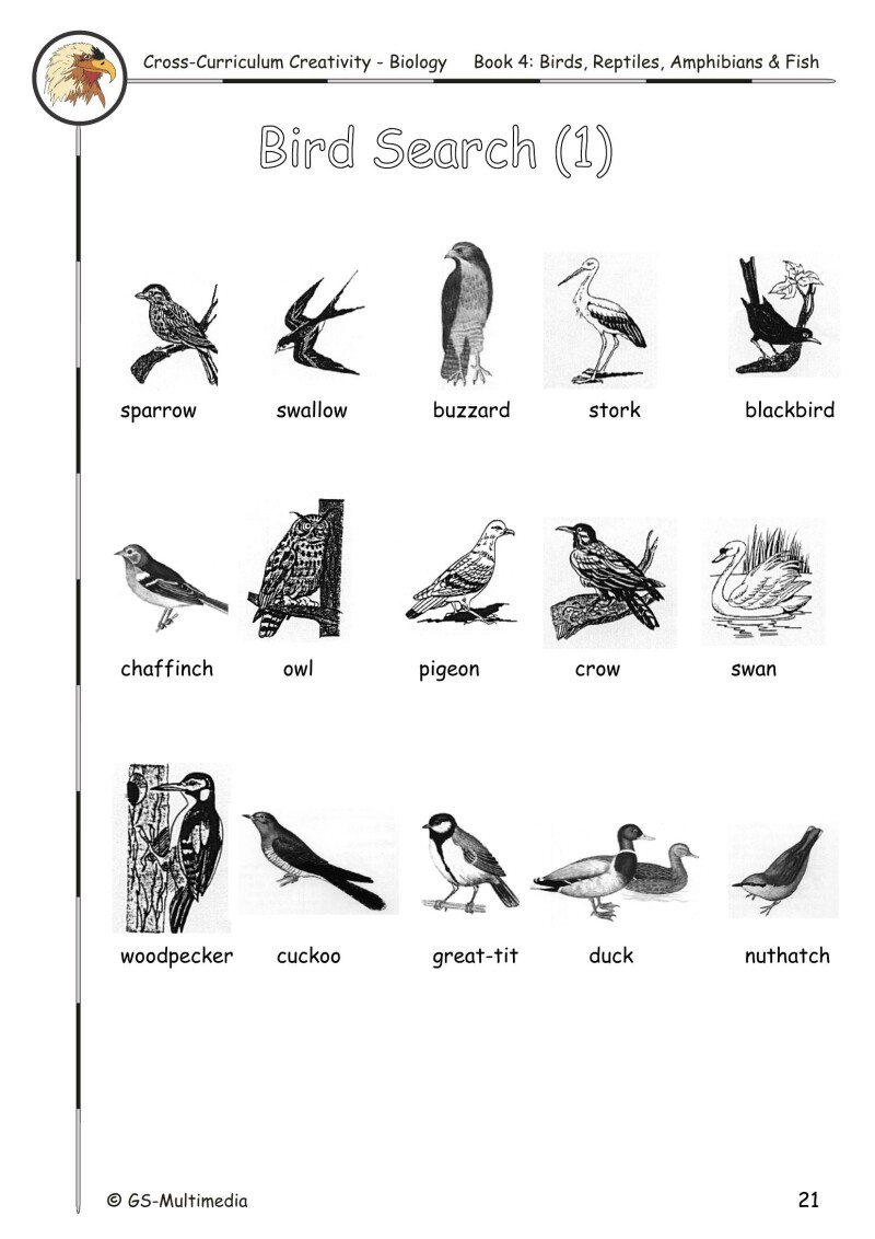 Cross Curriculum Creativity – Biology – Book 4: Birds, Reptiles, Amphibians and Fish