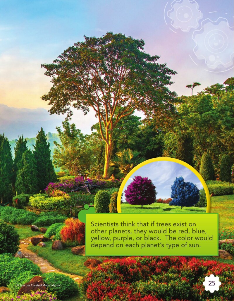 A2 – Growing Plants in Space