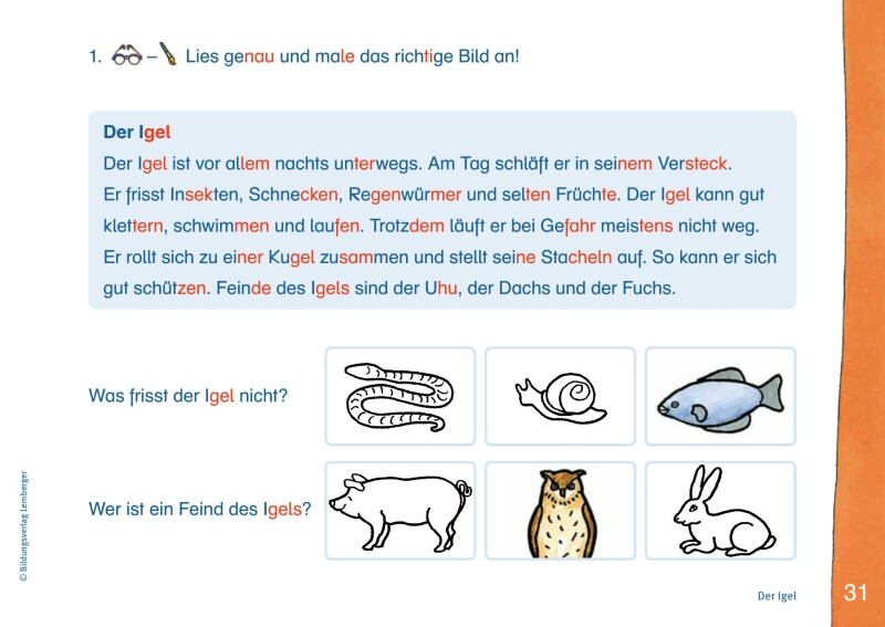 ABC der Tiere 2 -  Schulbuch: lesen - verstehen - malen: Lösungsheft