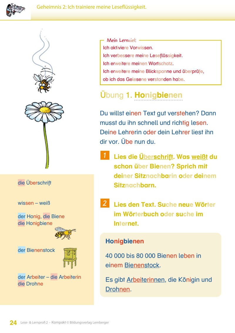 Lese- und Lernprofi 2 KOMPAKT LP’23 v1.1 / Schulbuch – silbierte Ausgabe