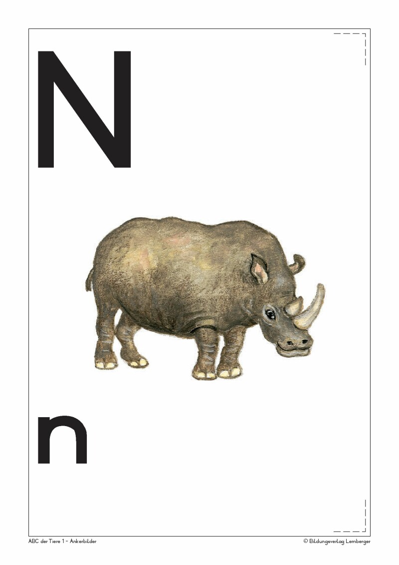 ABC der Tiere 1 - Schulbuch: Ankerbilder der Buchstaben