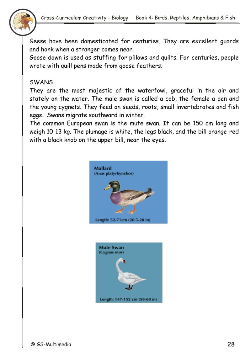 Cross Curriculum Creativity – Biology – Book 4: Birds, Reptiles, Amphibians and Fish