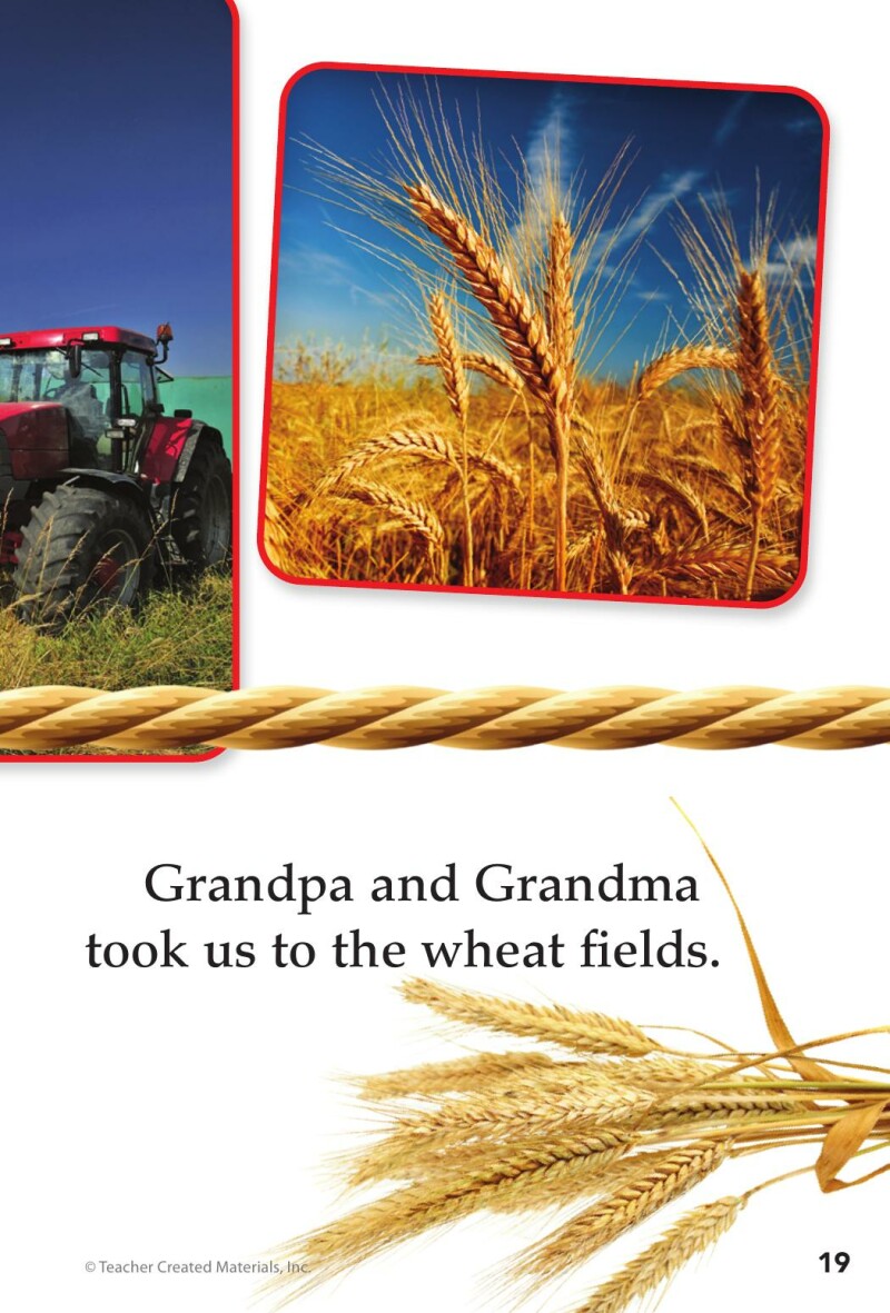 A1 – A Visit to a Farm