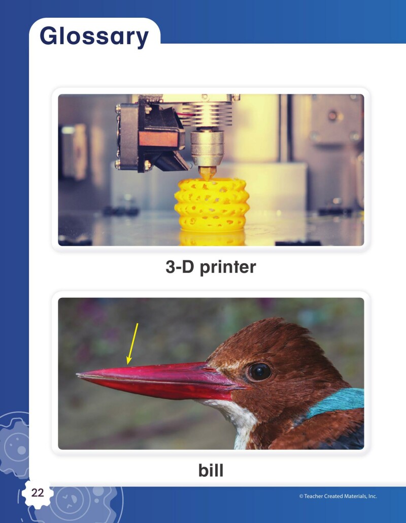 A1 – Helping Injured Animals