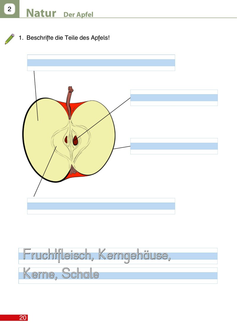 Dem Leben auf der Spur 1 LP’23 v1.1 / Arbeitsheft