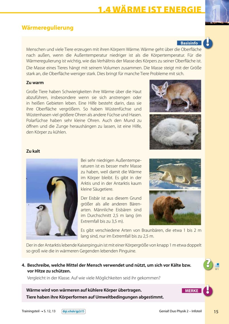 Genial! DUO Physik 2 - Info-Teil