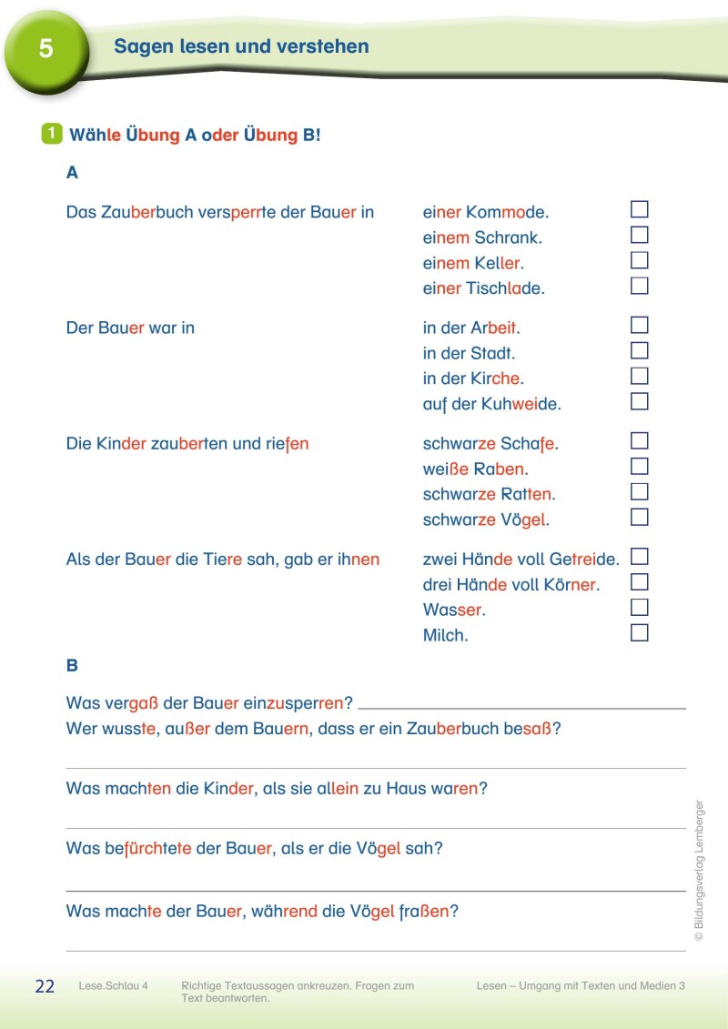 Lese.Schlau 4 - Lesebuch mit Silbenschrift