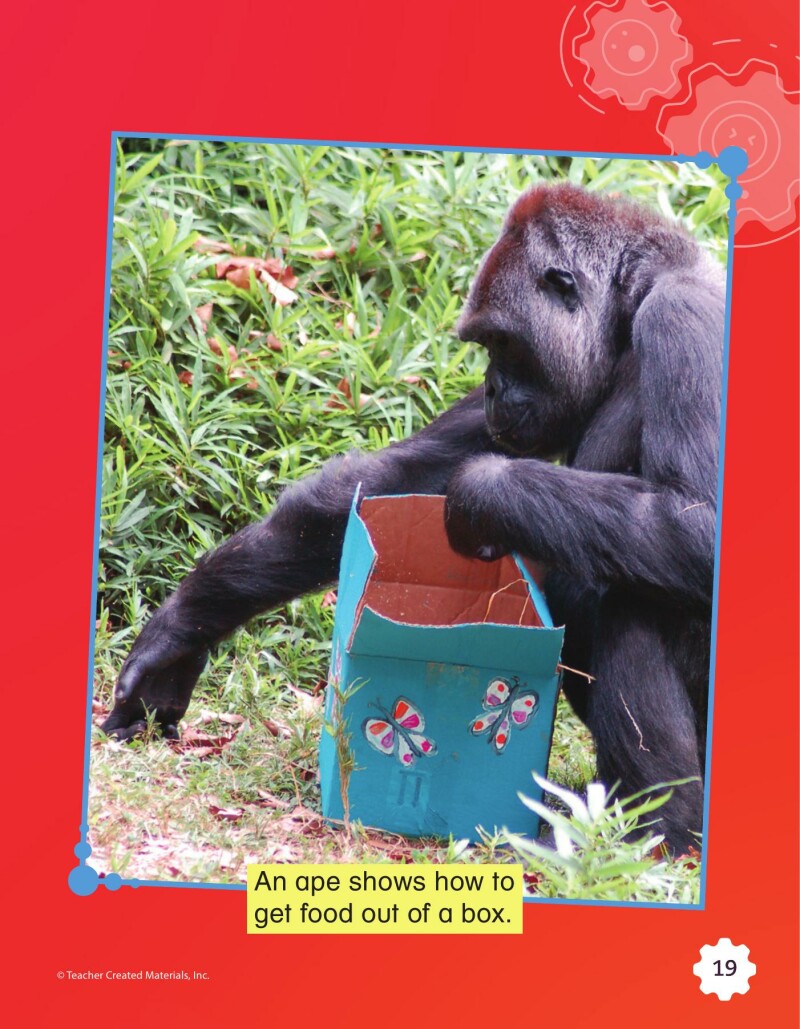 A1 – Helping Animals Learn