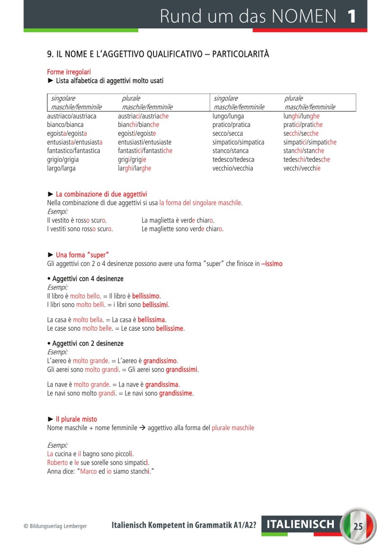Italienisch Kompetent in Grammatik? Übungsbuch