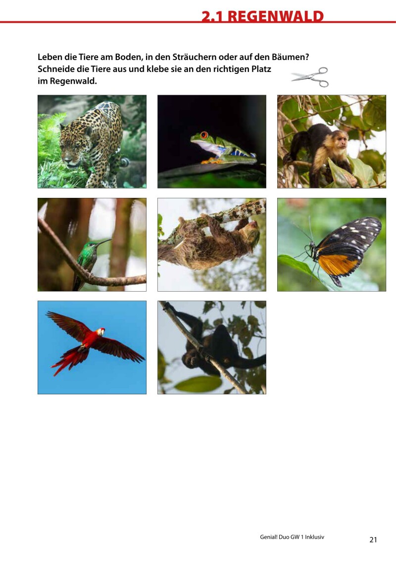 Genial! DUO Geographie/Wirtschaftskunde 1 - INKLUSIV