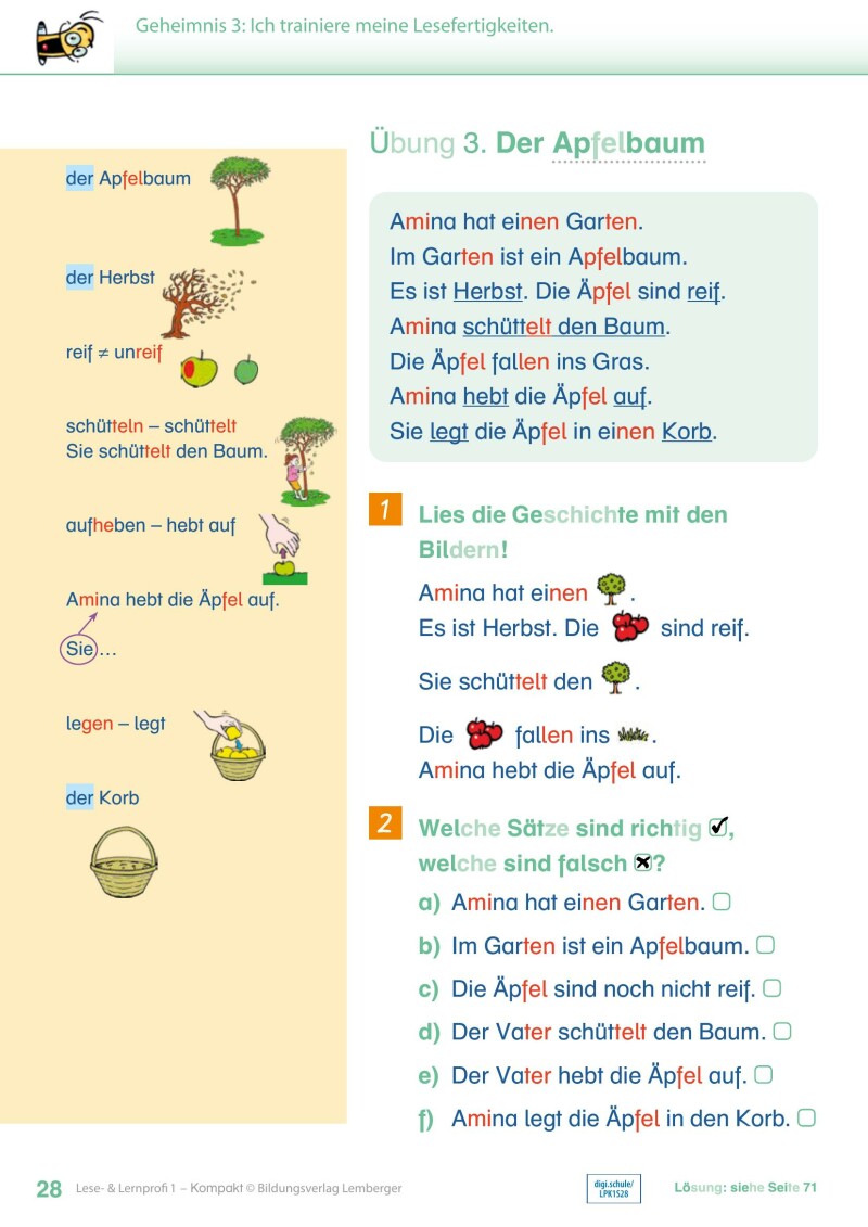 Lese- und Lernprofi 1 KOMPAKT LP’23 v1.1 / Schulbuch – silbierte Ausgabe