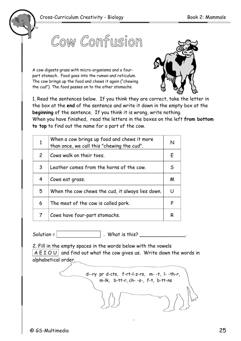 Cross Curriculum Creativity – Biology – Book 2: Mammals