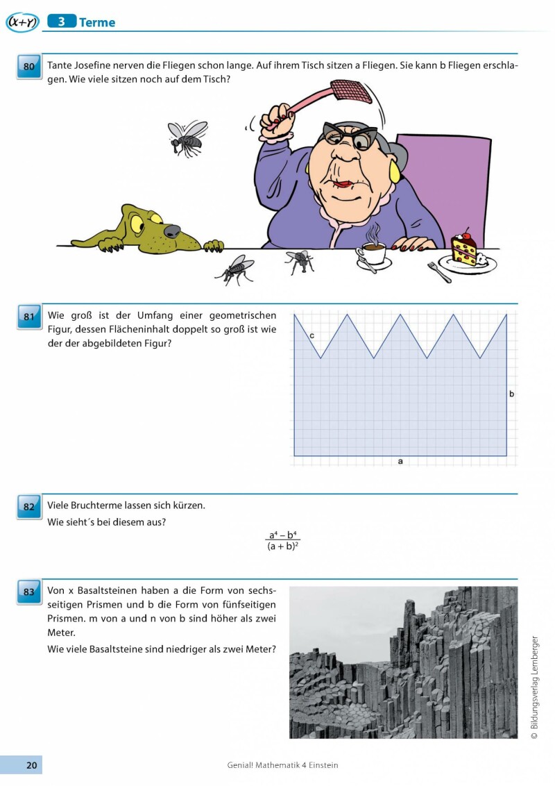 Genial! Mathematik 4 - Einstein Junior