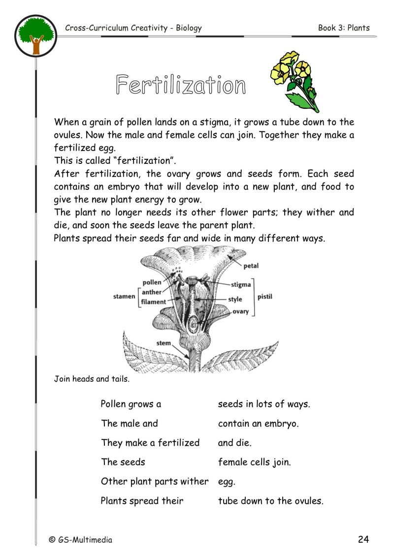 Cross Curriculum Creativity – Biology – Book 3: Plants