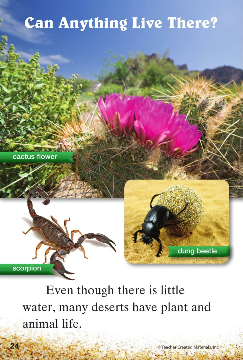 A1 – Step into the Desert