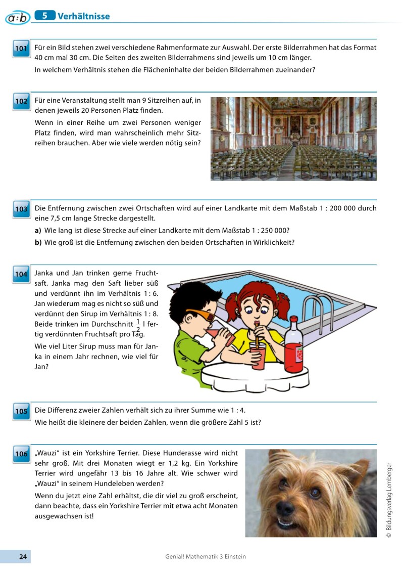 Genial! Mathematik 3 – Einstein Junior