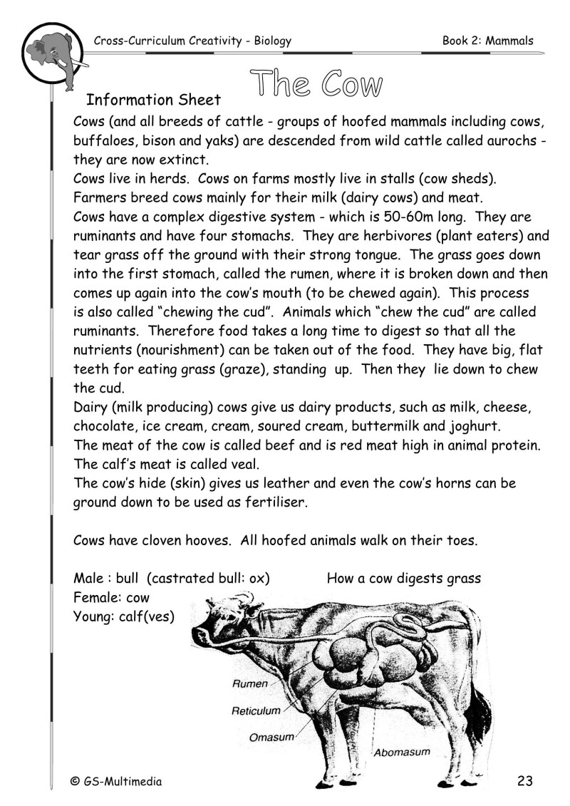 Cross Curriculum Creativity – Biology – Book 2: Mammals