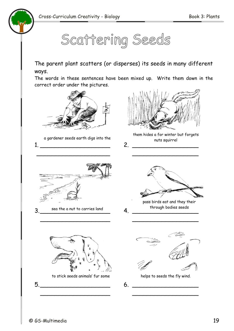 Cross Curriculum Creativity – Biology – Book 3: Plants