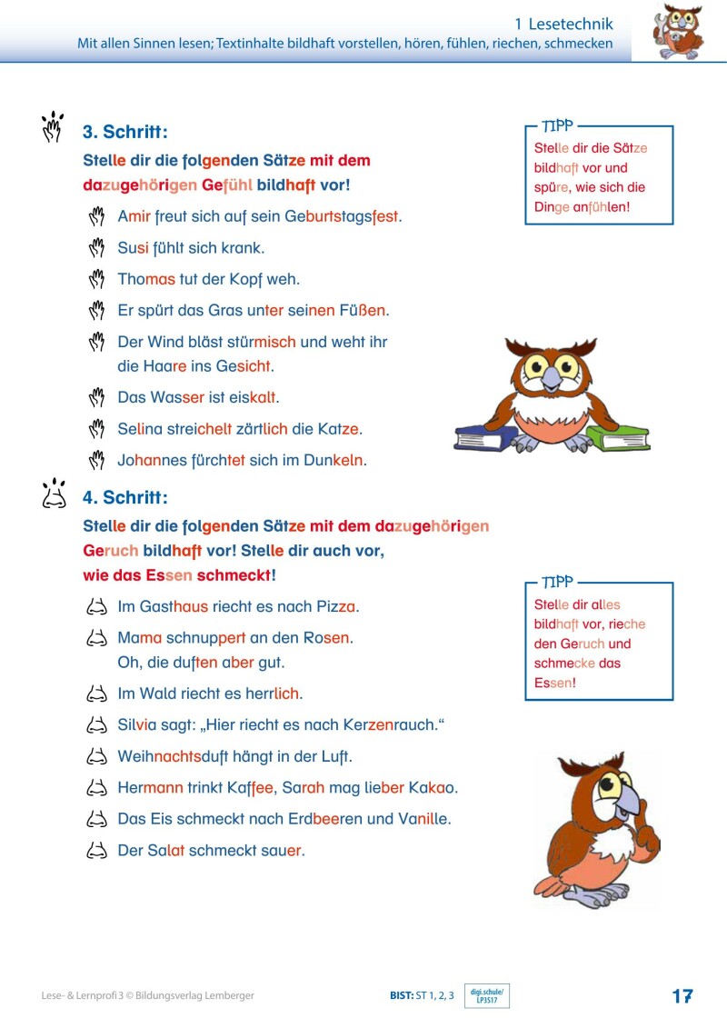 Lese- und Lernprofi 3 - Schulbuch: Silbierte Ausgabe_Version 3.1