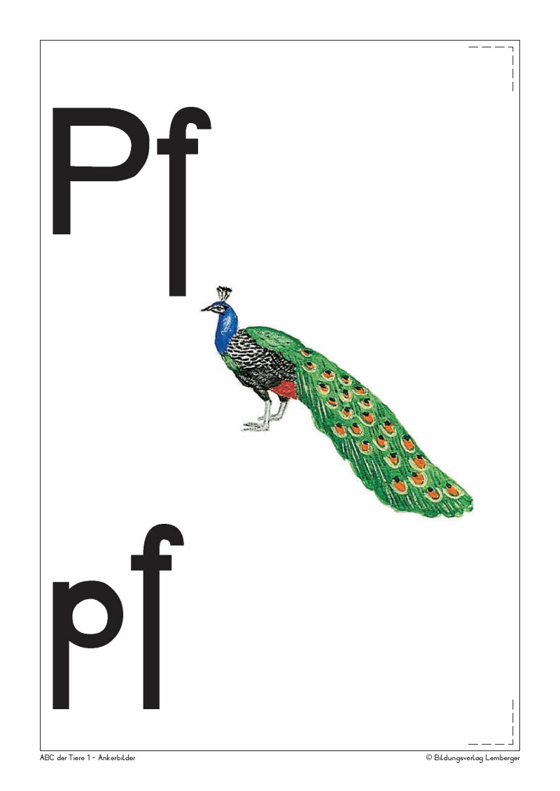 ABC der Tiere 1 - Schulbuch: Ankerbilder der Buchstaben